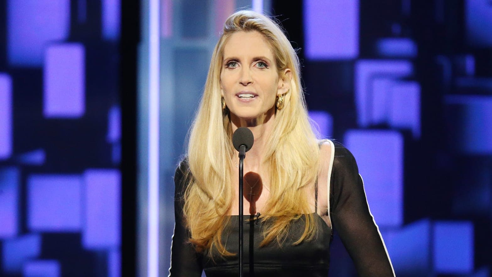 Info about Ann Coulter